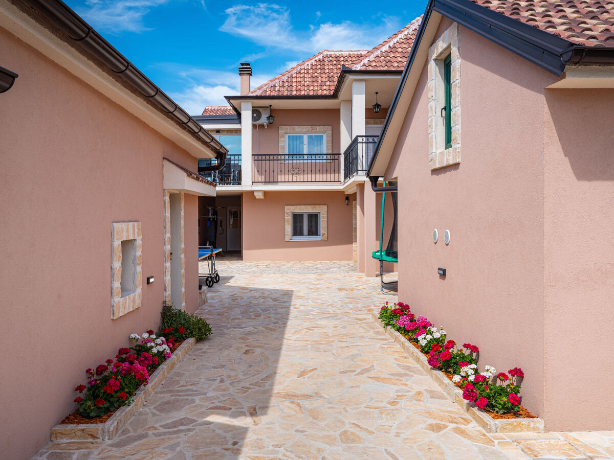 Maison Šimić à Benkovac : piscine privée 8×4m - Photo 7