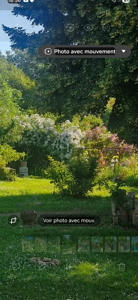 Maison plain-pied avec jardin clos à Villars-en-Pons, 4 personnes : photo 29