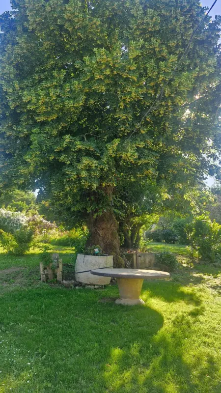 Maison plain-pied avec jardin clos à Villars-en-Pons, 4 personnes : photo 30