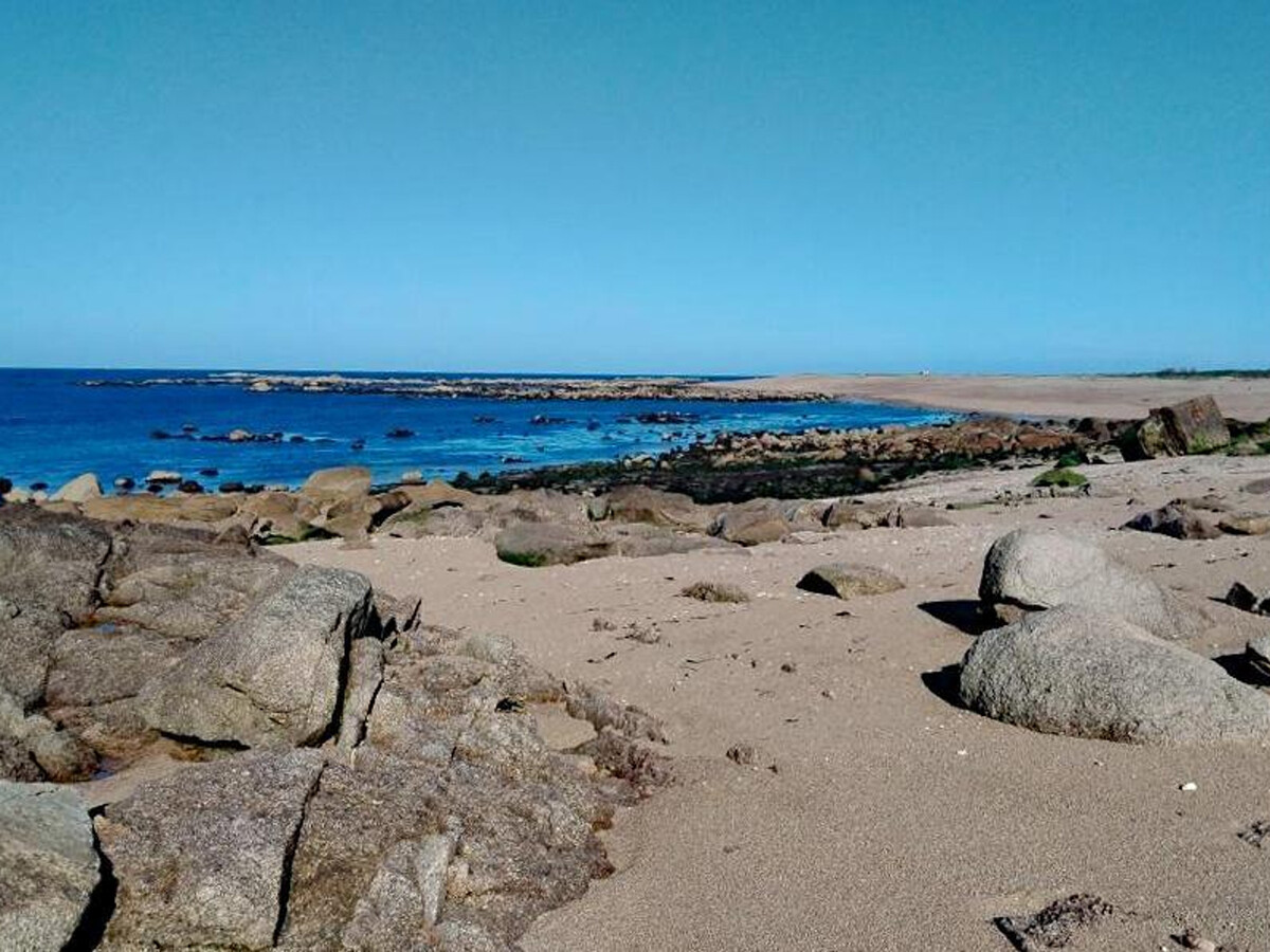 Gite 4 personnes avec jardin clos à Vicq-sur-Mer - Photo 19