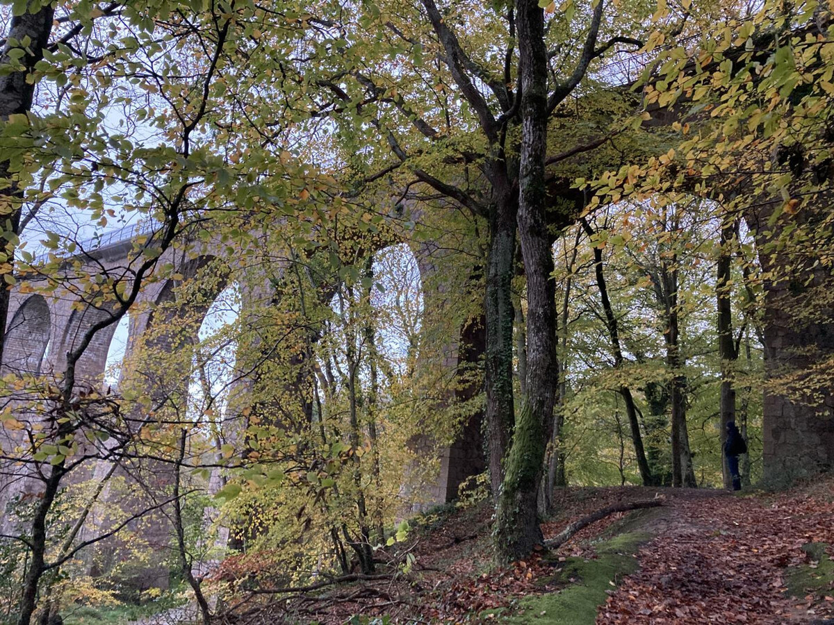 Gite 4 personnes avec jardin clos à Vicq-sur-Mer - Photo 23