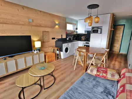 Studio cabine ski aux pieds au Grand-Bornand : photo 12