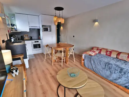 Studio cabine ski aux pieds au Grand-Bornand : photo 13