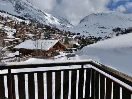 Studio cabine ski aux pieds au Grand-Bornand : photo 17