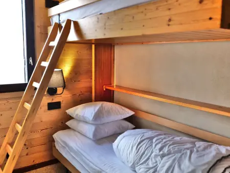 Studio cabine ski aux pieds au Grand-Bornand : photo 21