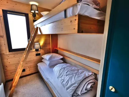 Studio cabine ski aux pieds au Grand-Bornand : photo 23