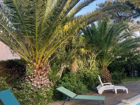 Villa 8 pers. piscine chauffée à Moliets-et-Maa : photo 20