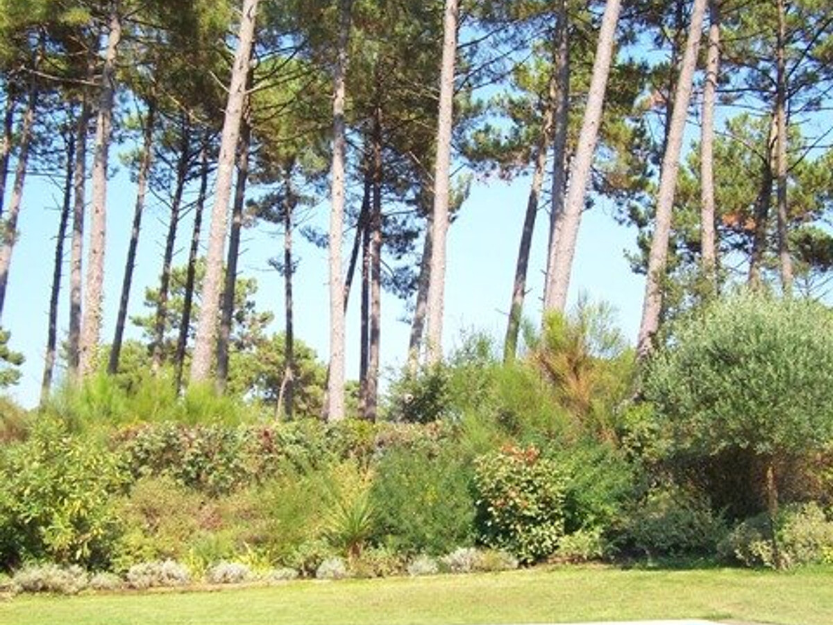 Villa 4 ch piscine sécurisée à Moliets-et-Maa - Photo 20