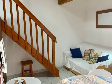 Appartement 1 chambre + mezzanine, piscine, animaux : photo 4