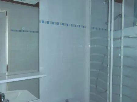 Appartement 1 chambre + mezzanine, piscine, animaux : photo 9