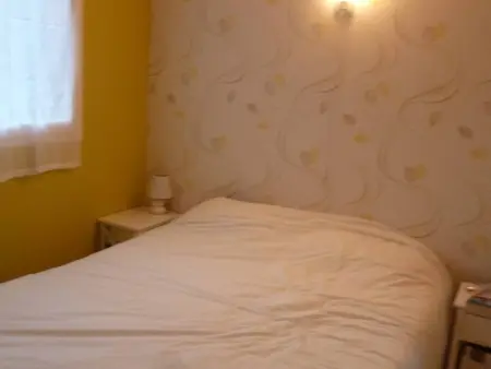 Appartement 1 chambre + mezzanine, piscine, animaux : photo 10