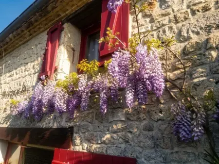 Maison charentaise avec bain de spa privé, 6 pers., La Villedieu : photo 31