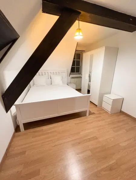 Maison avec jardin clôturé et vue lac à Illkirch-Graffenstaden : photo 6