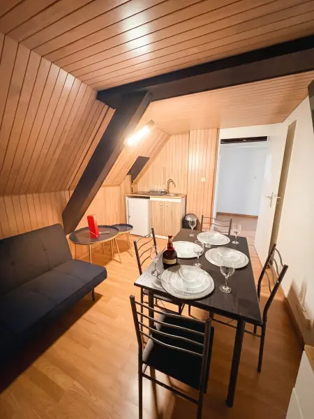 Maison avec jardin clôturé et vue lac à Illkirch-Graffenstaden : photo 9