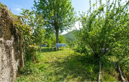 Maison rustique Rezzoaglio, 6 pers., poêle à bois : photo 11