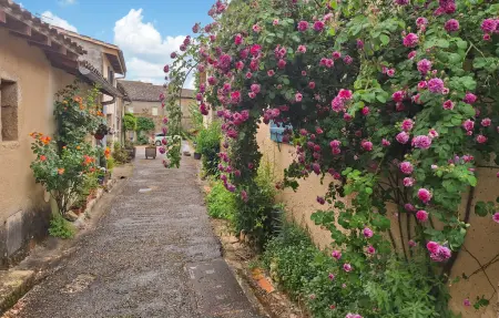 Maison médiévale avec piscine à Castelmoron-d'Albret : photo 9