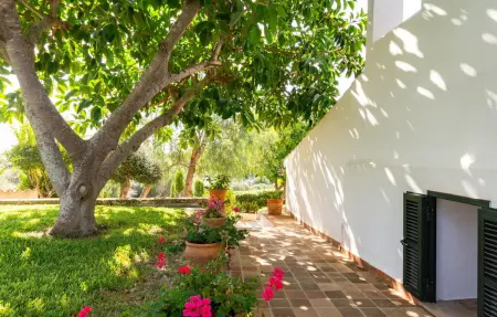 Maison Hibiscus avec piscine à Santa Margalida : photo 15