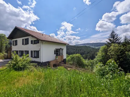 Gîte Gérardmer, terrasse panoramique et parking privé : photo 32