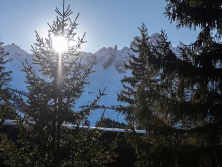 Appartement 4 pers. au Jardin Alpin - Courchevel : photo 9