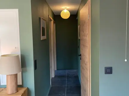 Appartement 3 pièces avec parking couvert aux Carroz : photo 17