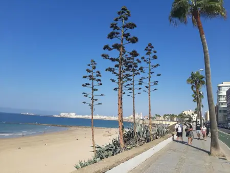 Appartement Huerta del Obispo, patio 64m² à Cádiz : photo 49