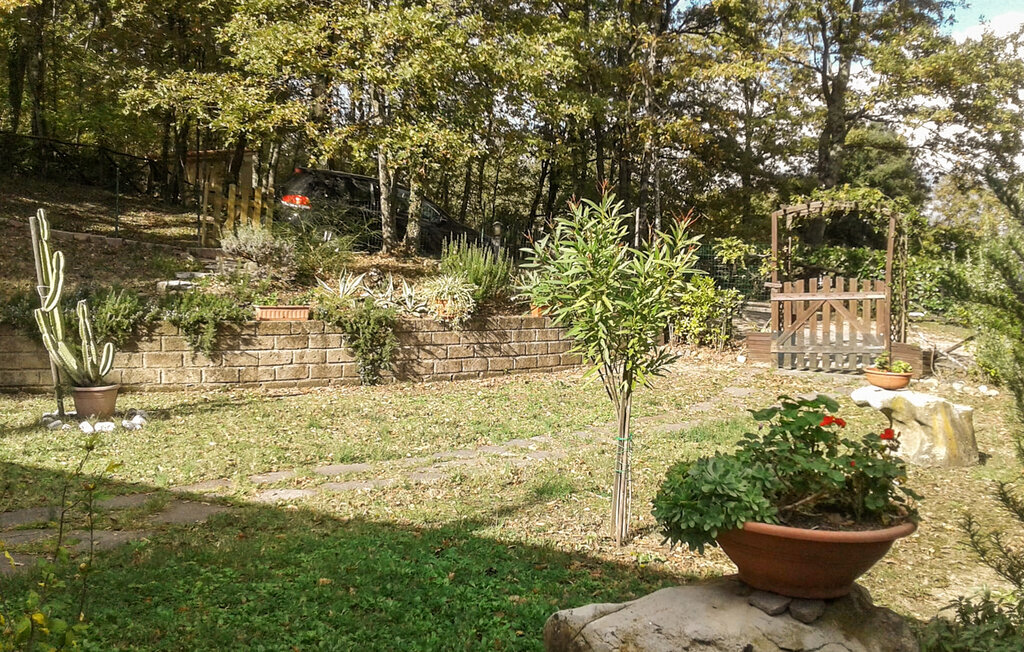 Maison 4 personnes à Monteverdi Marittimo - Photo 8