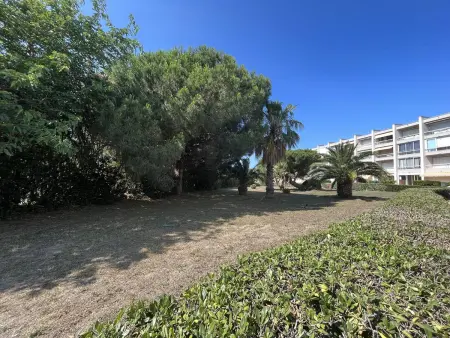 Studio cabine rénové face au port de Saint-Cyprien : photo 22