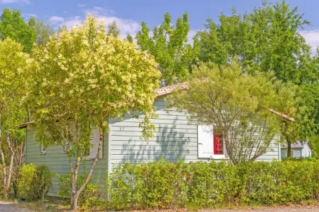 Gîte au bord du Lot avec piscine et spa : photo 3