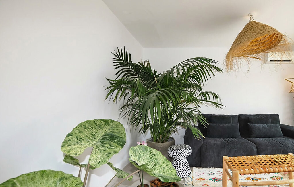 Maison moderne 8 pers. avec piscine privée à Perpignan - Photo 10