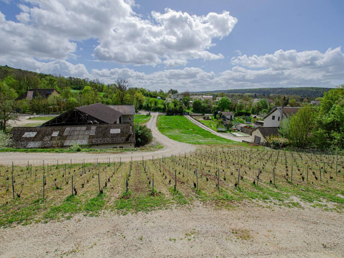 Gîte 8 pers. au cœur des vignes de Champagne - Photo 6