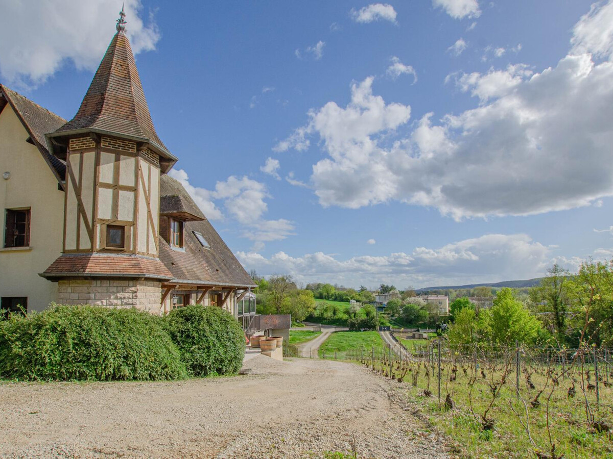Gîte 8 pers. au cœur des vignes de Champagne - Photo 25