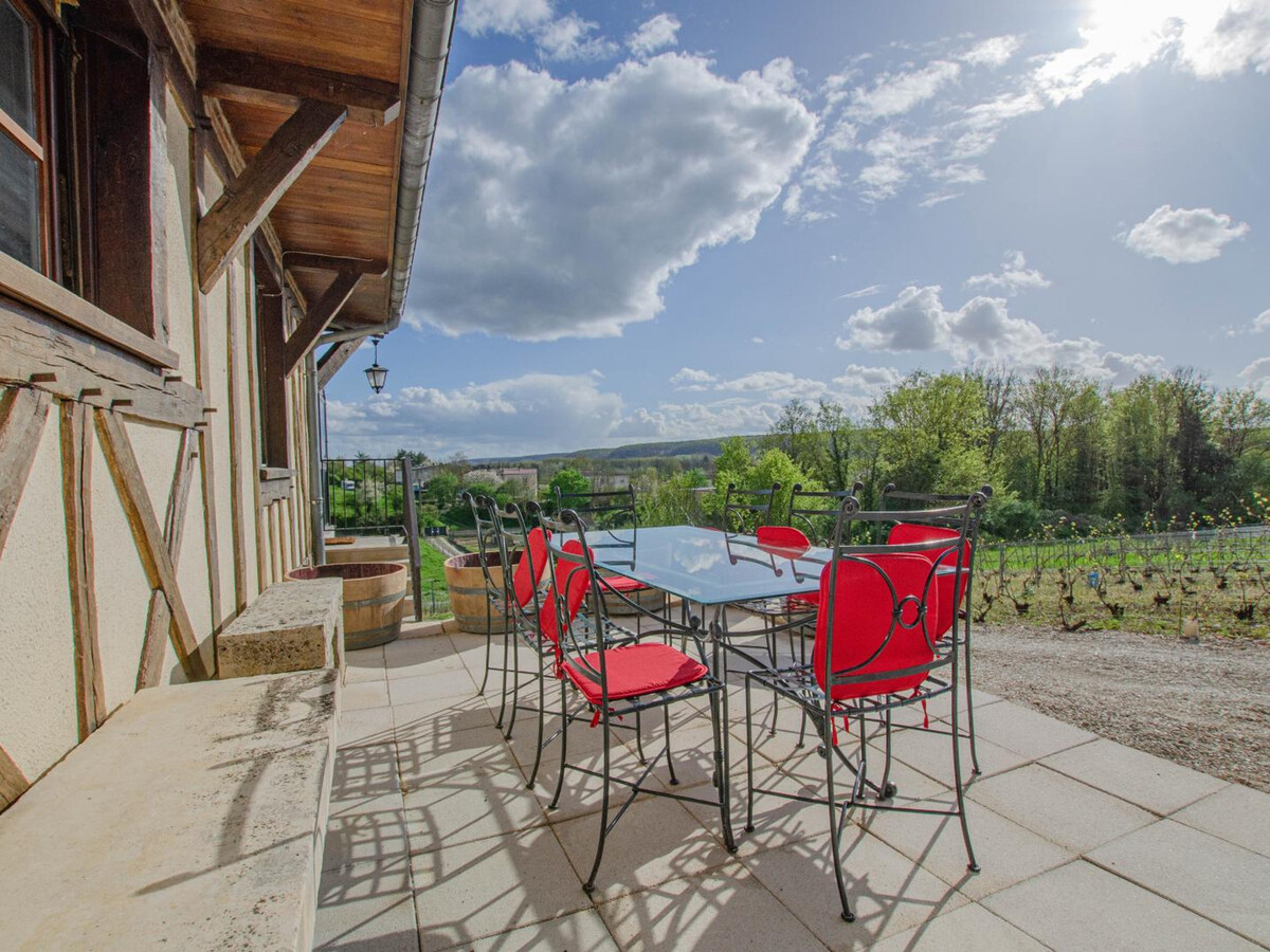 Gîte 8 pers. au cœur des vignes de Champagne - Photo 27