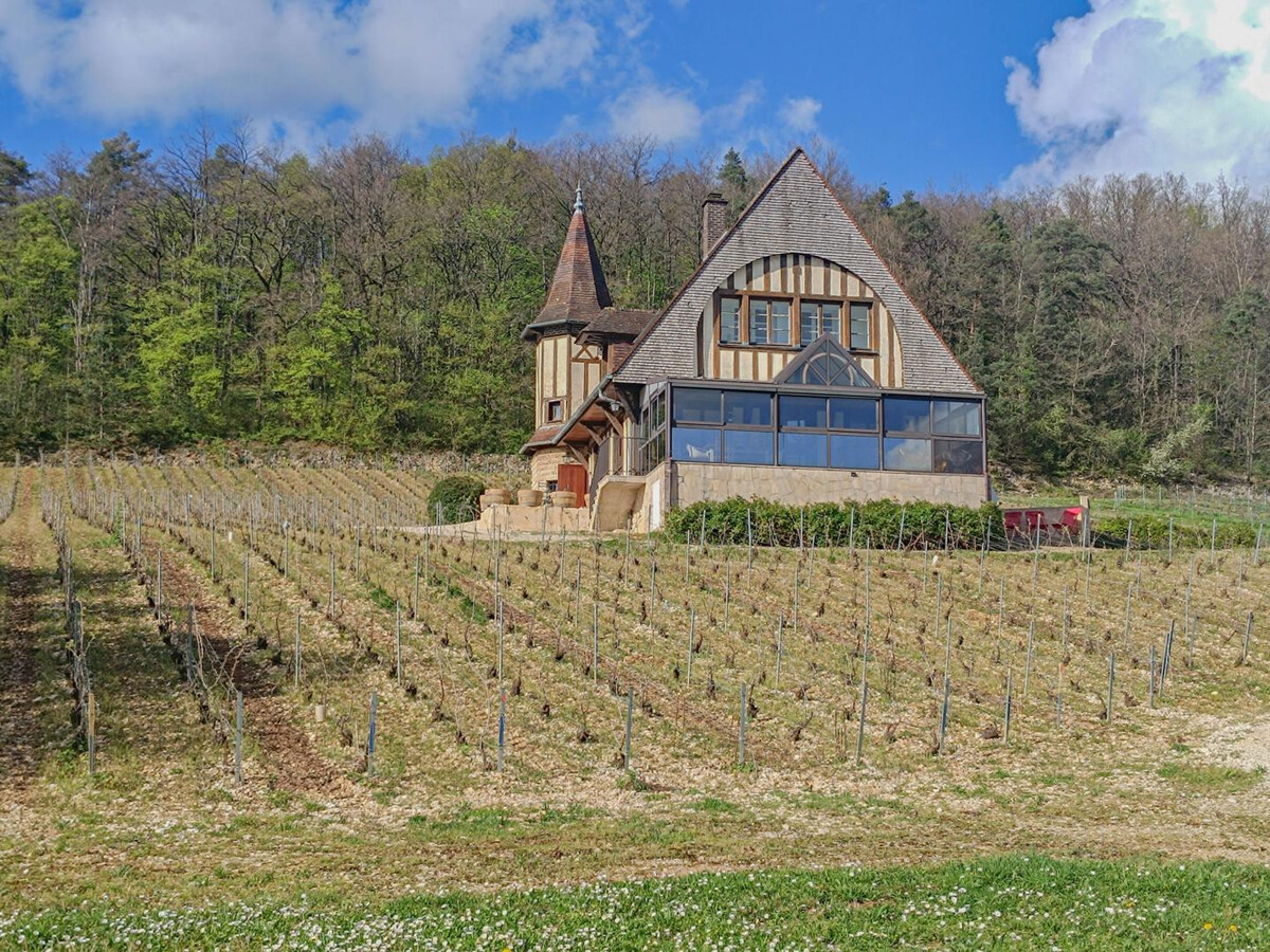 Gîte 8 pers. au cœur des vignes de Champagne - Photo 28