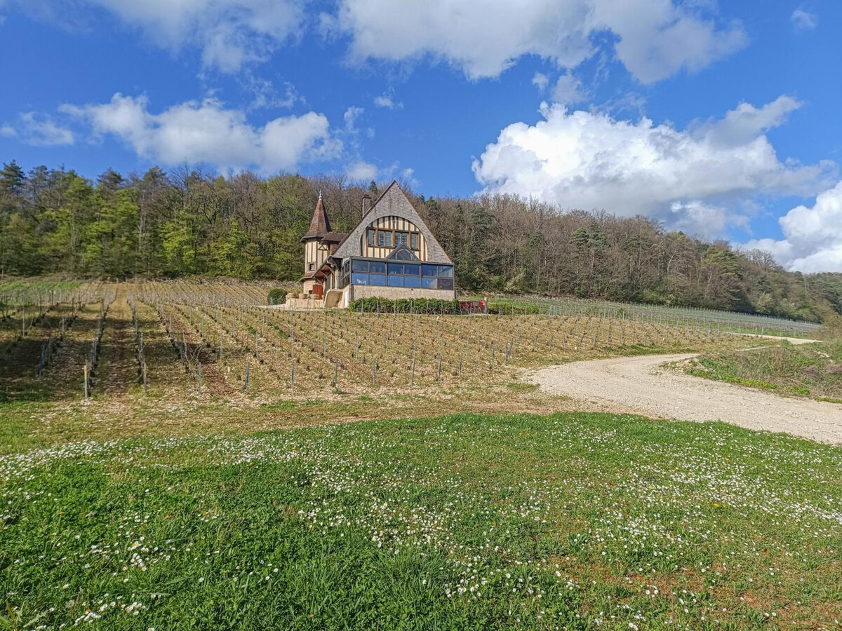 Gîte 8 pers. au cœur des vignes de Champagne - Photo 29