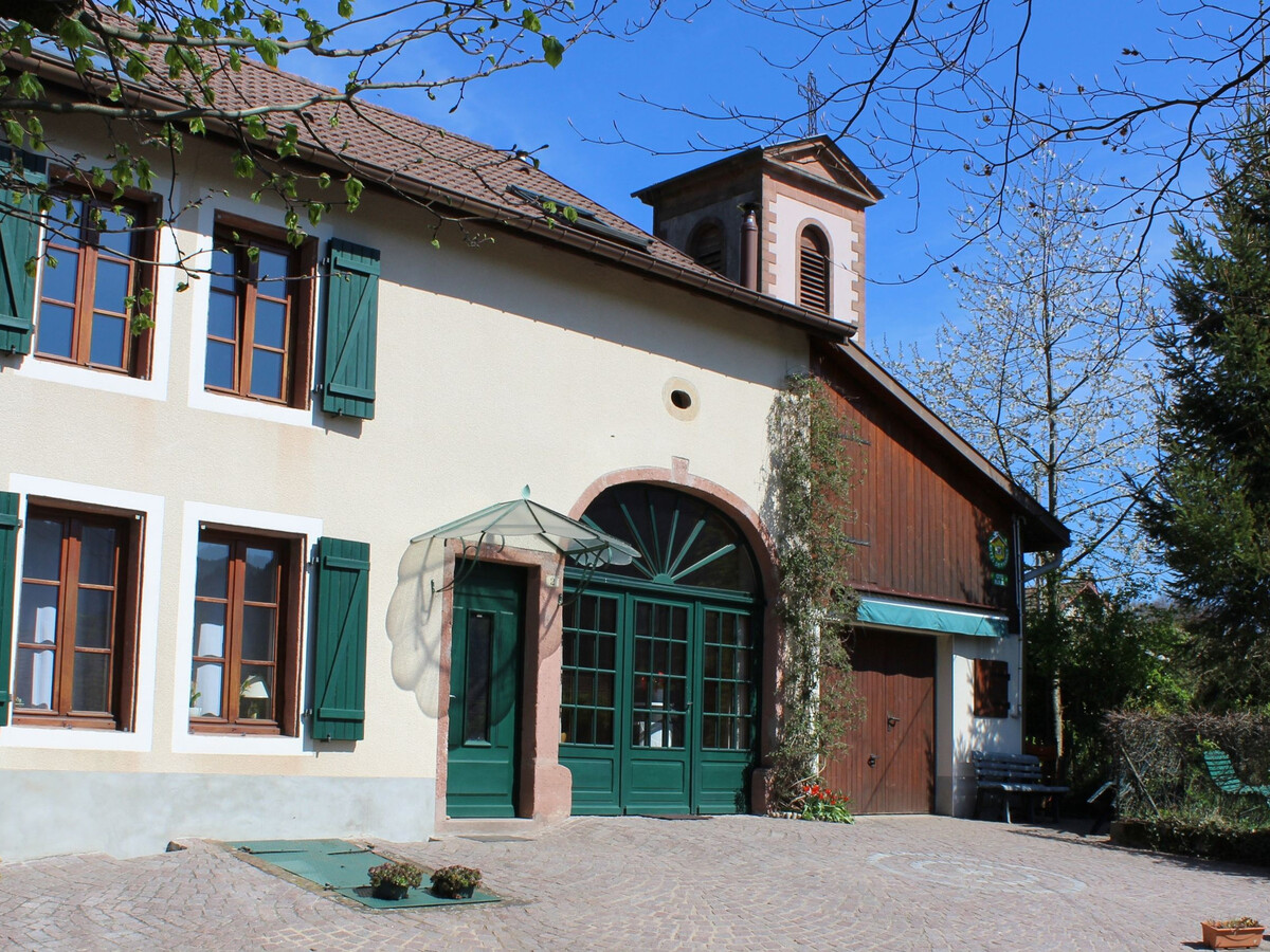 Gîte 65 m² au cœur du massif Vosgien - Photo 4