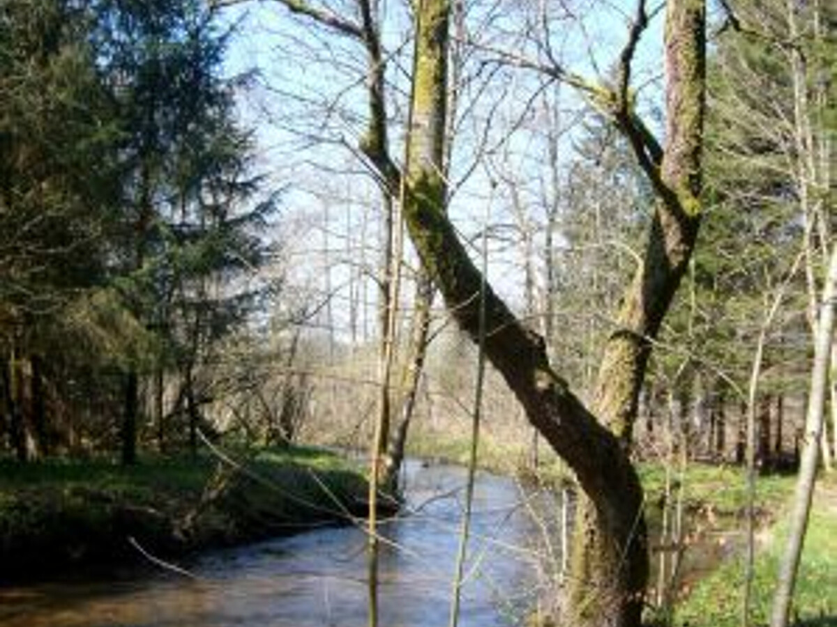 Gîte 65 m² au cœur du massif Vosgien - Photo 15