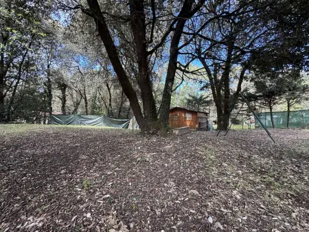 Maison 6 pers. Saint-Trojan-les-Bains, 1 km plage : photo 19
