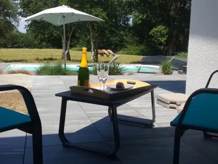 Villa avec clim et piscine - 10 pers., Villa 10 personnes à Vielle Saint Girons - Photo 1
