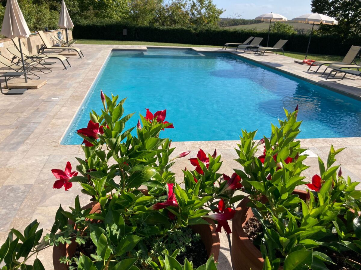 Agriturismo Podere il Moro – 19 pers., piscine - Photo 8