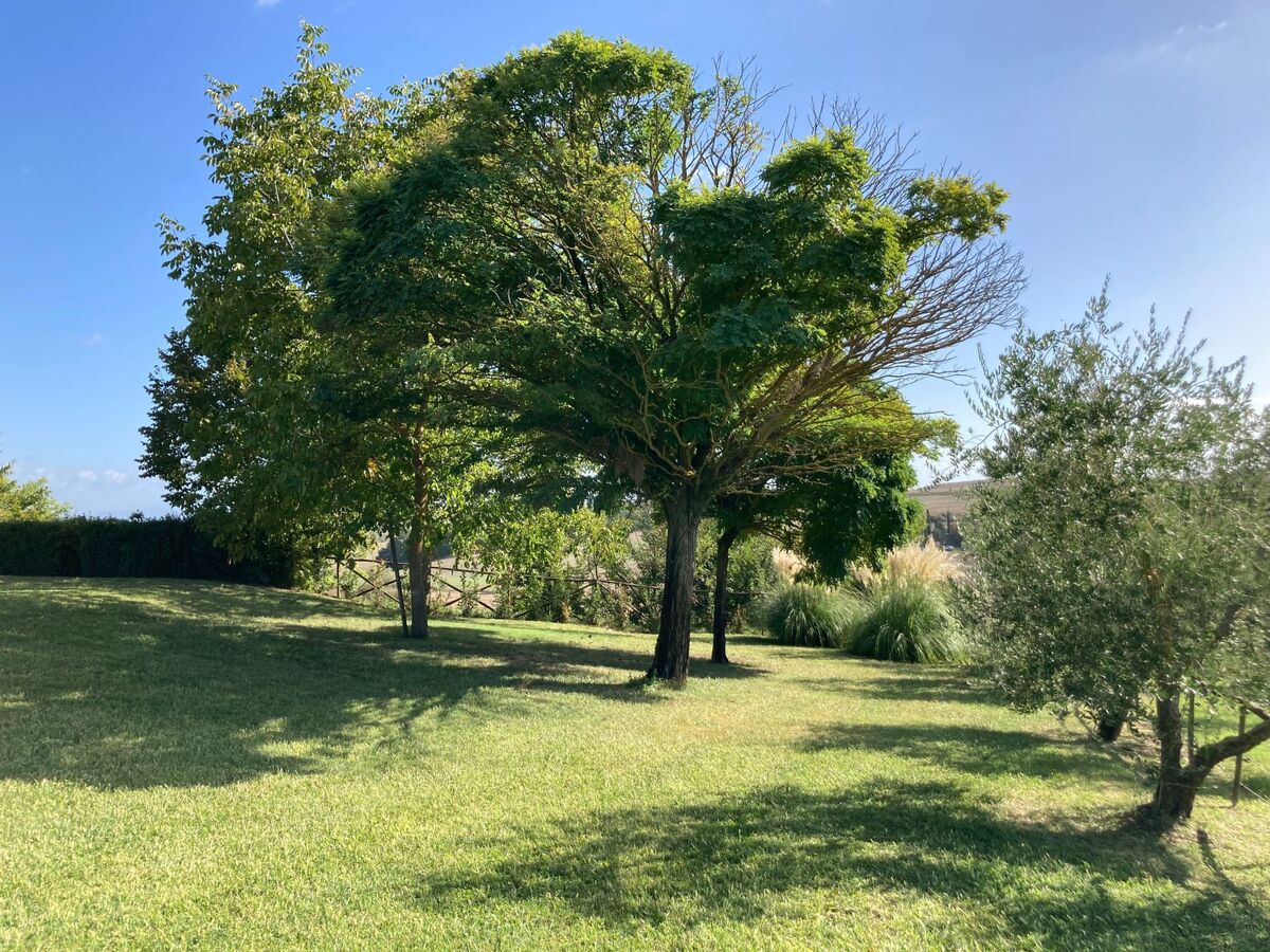 Agriturismo Podere il Moro – 19 pers., piscine - Photo 10