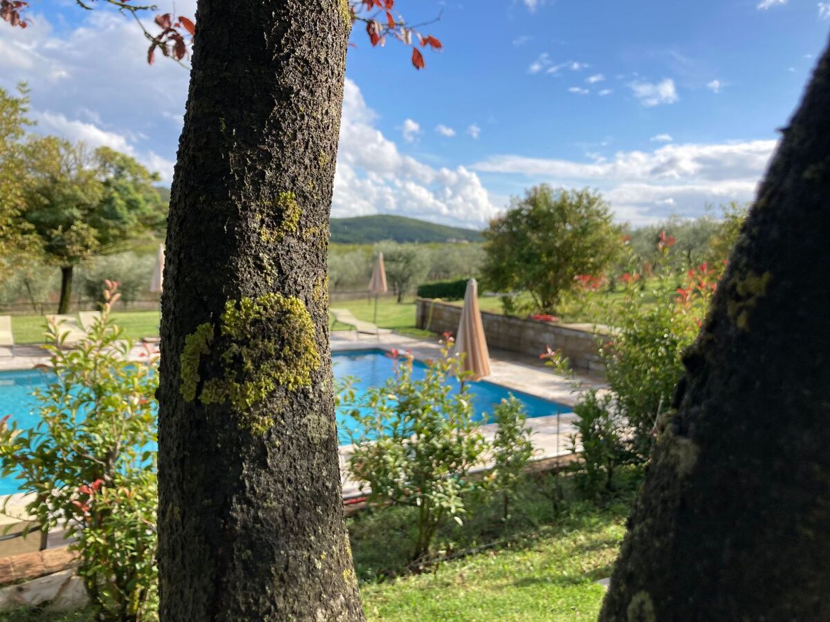Agriturismo Podere il Moro – 19 pers., piscine - Photo 12