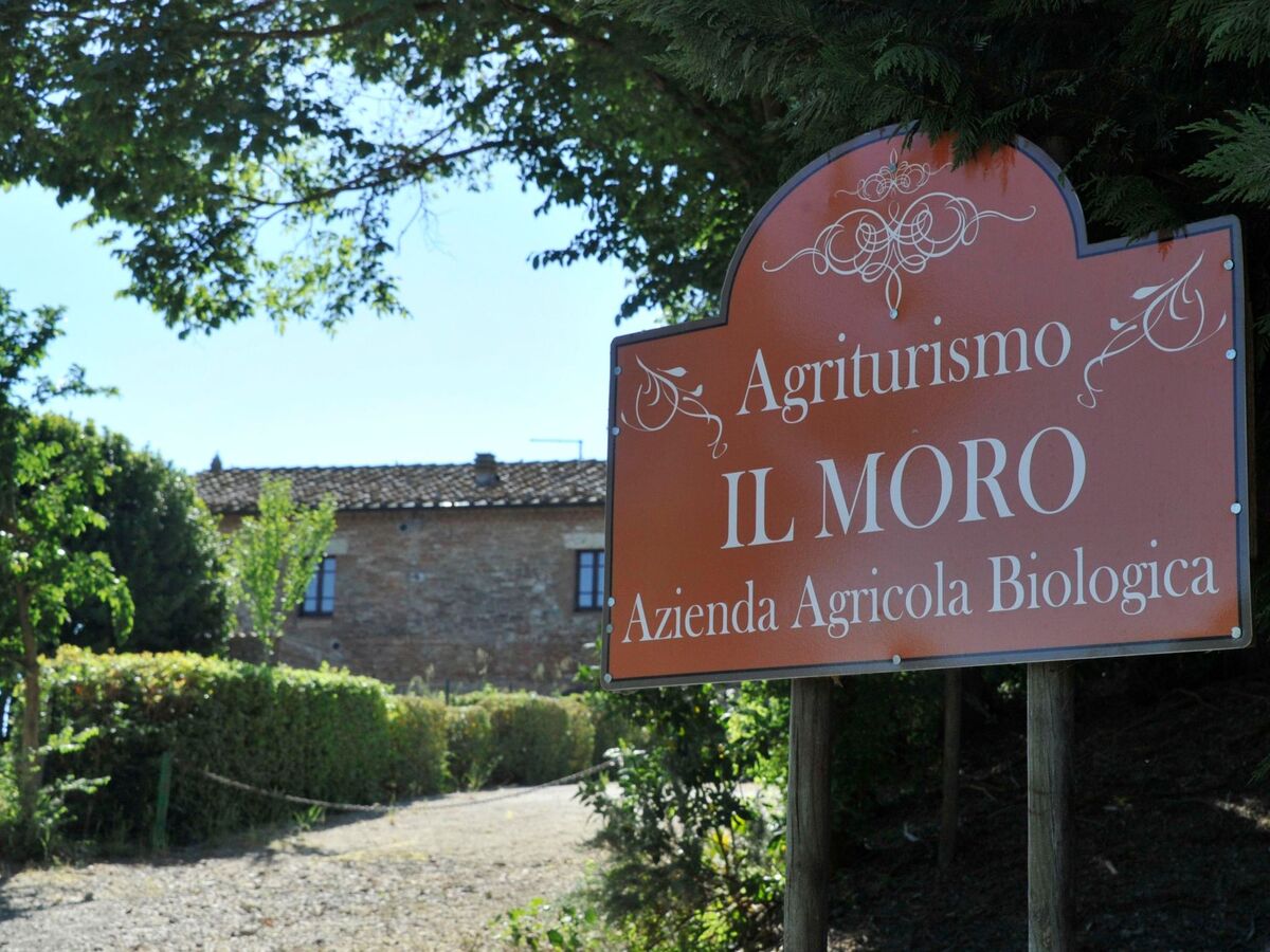 Agriturismo Podere il Moro – 19 pers., piscine - Photo 63
