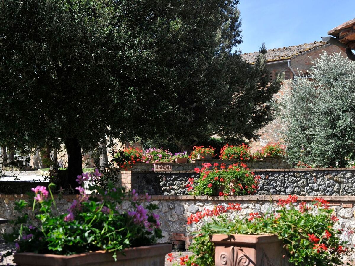 Agriturismo Podere il Moro – 19 pers., piscine - Photo 85