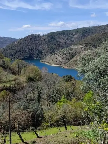 Maison avec vue sur le lac et terrasse privée à Ruivães : photo 16