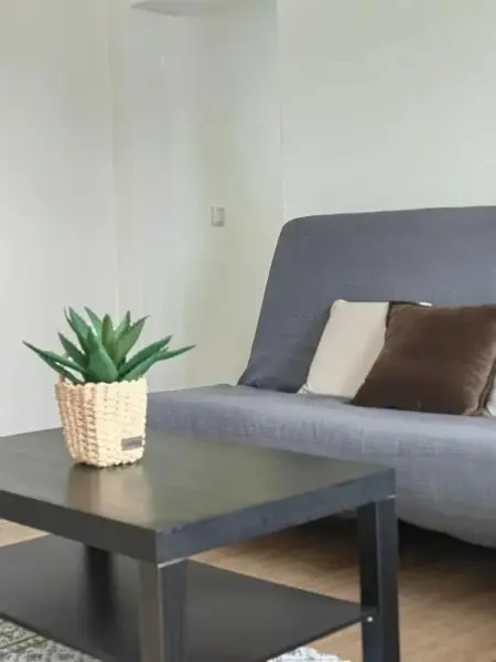 Maison avec vue sur le lac et terrasse privée à Ruivães : photo 32