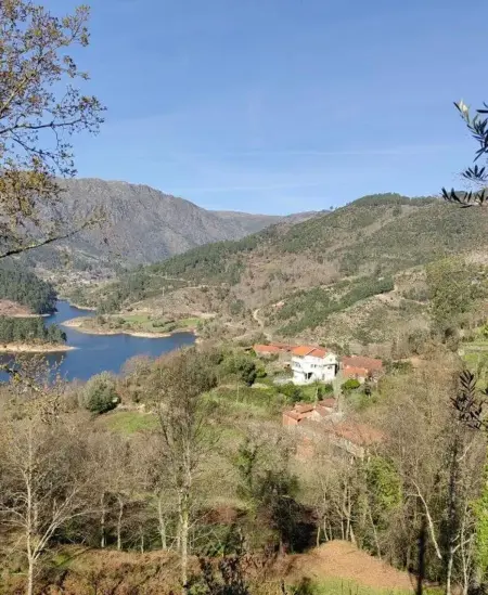 Maison avec vue sur le lac et terrasse privée à Ruivães : photo 40