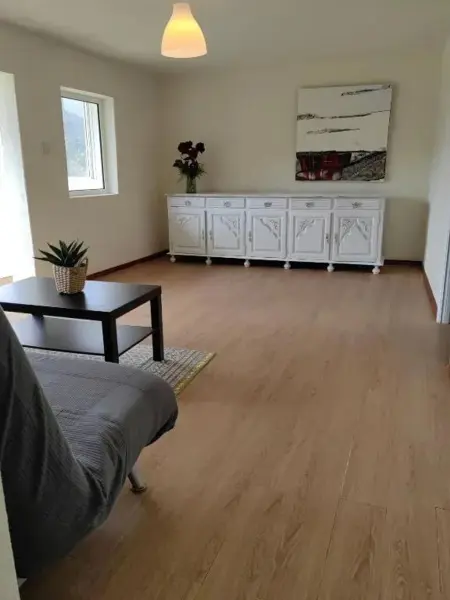 Maison avec vue sur le lac et terrasse privée à Ruivães : photo 57