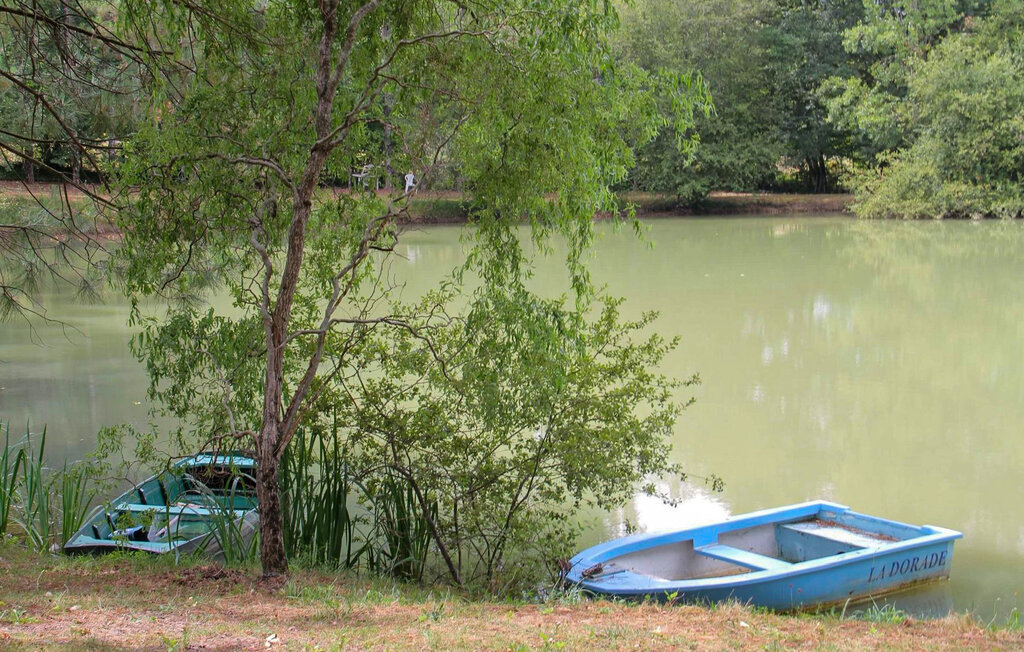 Maison 10 pers. avec étang privé, Périgord pourpre - Photo 14