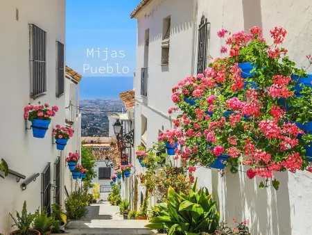 Appartement 2 chambres avec vue montagne à Mijas : photo 33