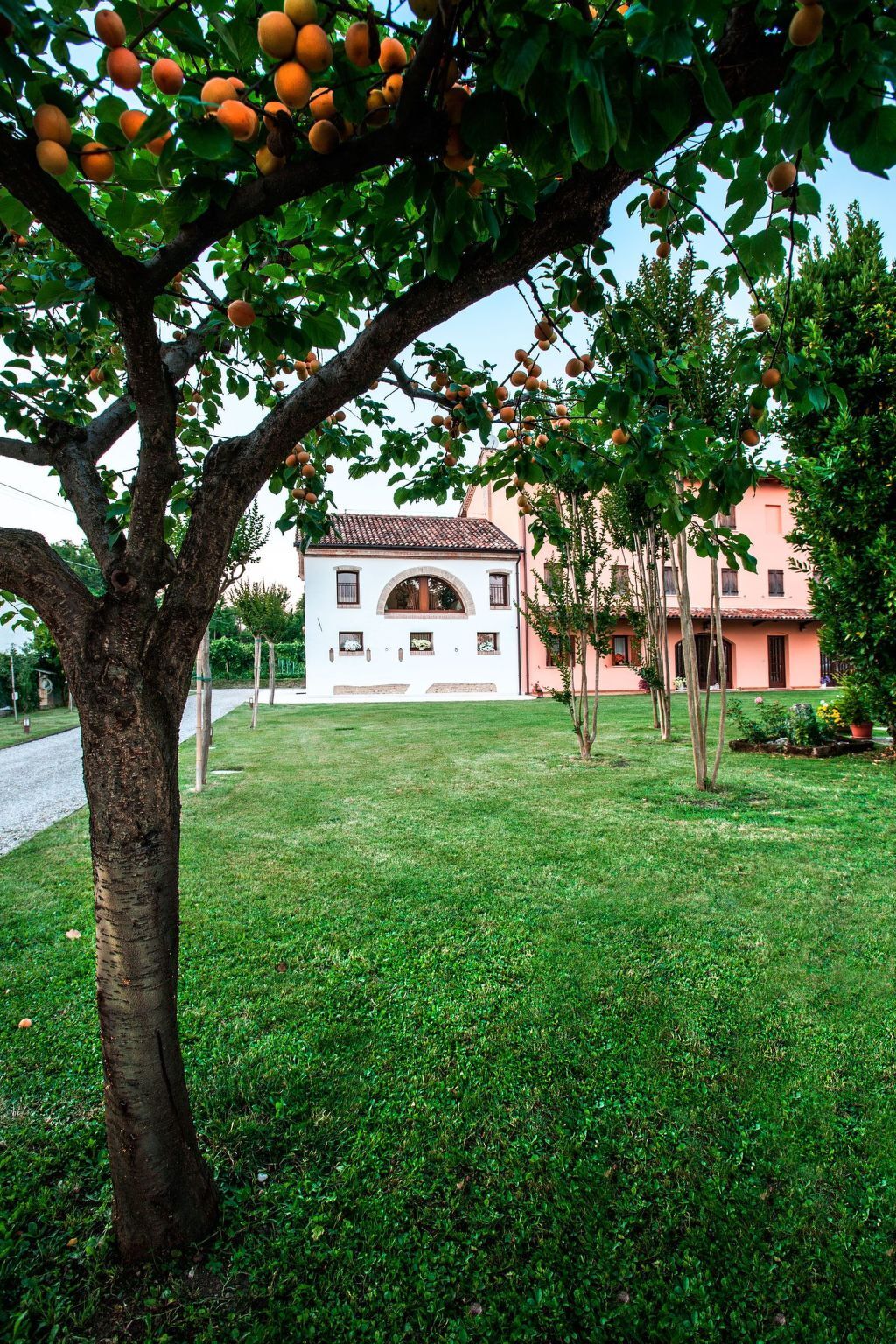 Brick House in Silea - Maison 3 chambres près de Trévise - Photo 6